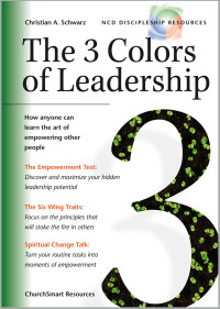 The 3 Colors of Leadership by C.A. Schwarz: How anyone can learn the art of empowering other people
