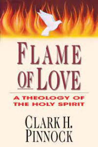 Flame Of Love: A Theology of The Holy Spirit